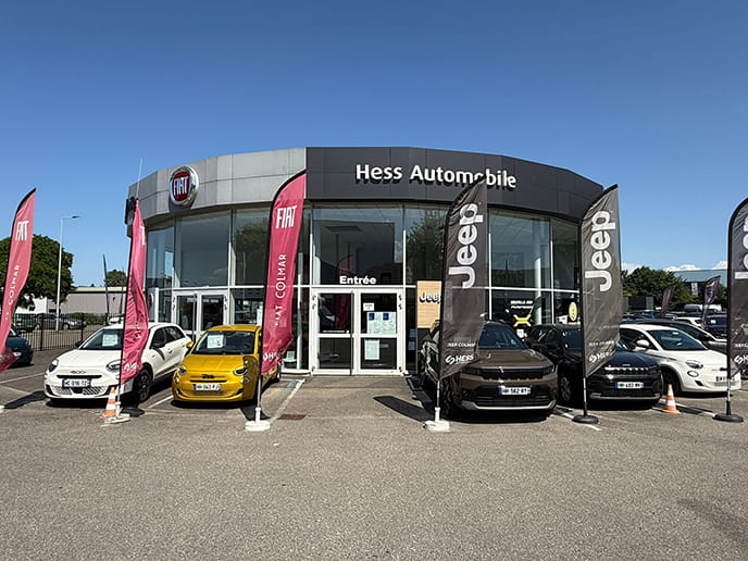 Cas client Hess Automobile — Automobile
